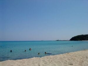 dsc02167-thumb-large